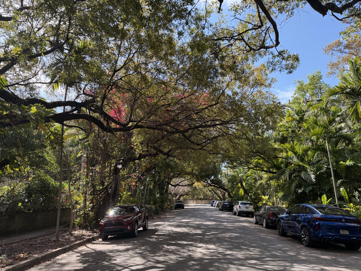 Tom Goodwin tweet media