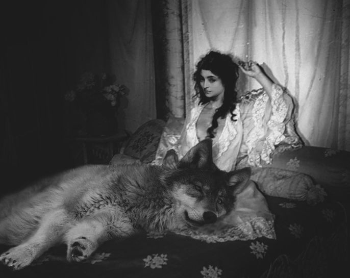 تومریسچا 𐱃𐰆𐰢𐰼𐰾𐰲𐰀 tweet media