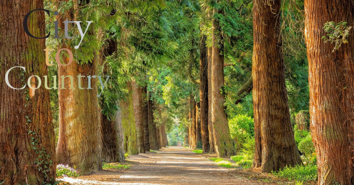 MichaelEdwarde's tweet photo. 🌳 It’s about lifestyle, not just property
Schools, commute, community, and surroundings matter as much as the house.
📞 07973 146081
 🏡 https://t.co/lWB15F3xtl https://t.co/3YCtBpXbHy