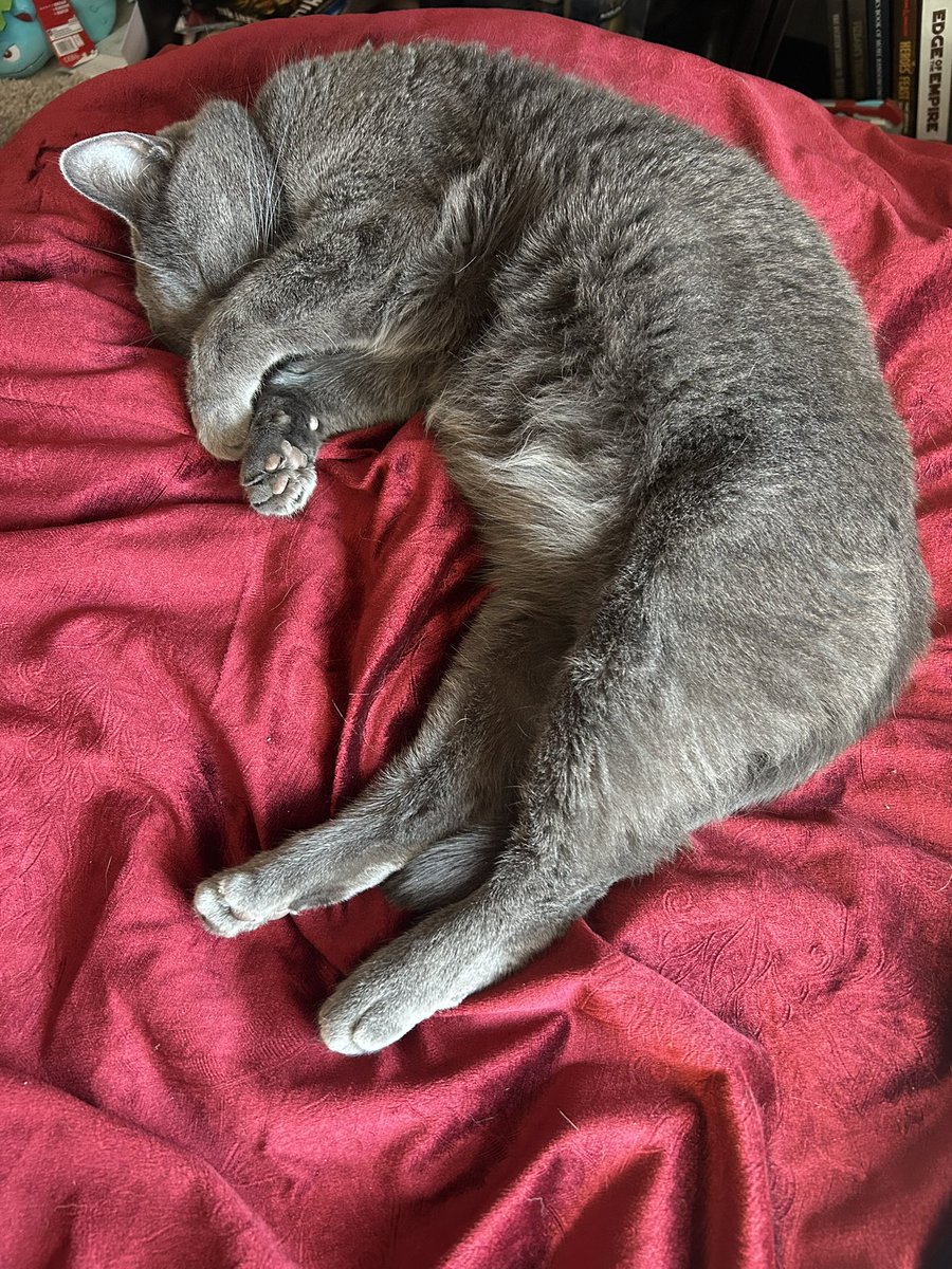 GOOD MORNING 
HAVE A GOOD DAY
just like my cat who be sleeping like she pays rent