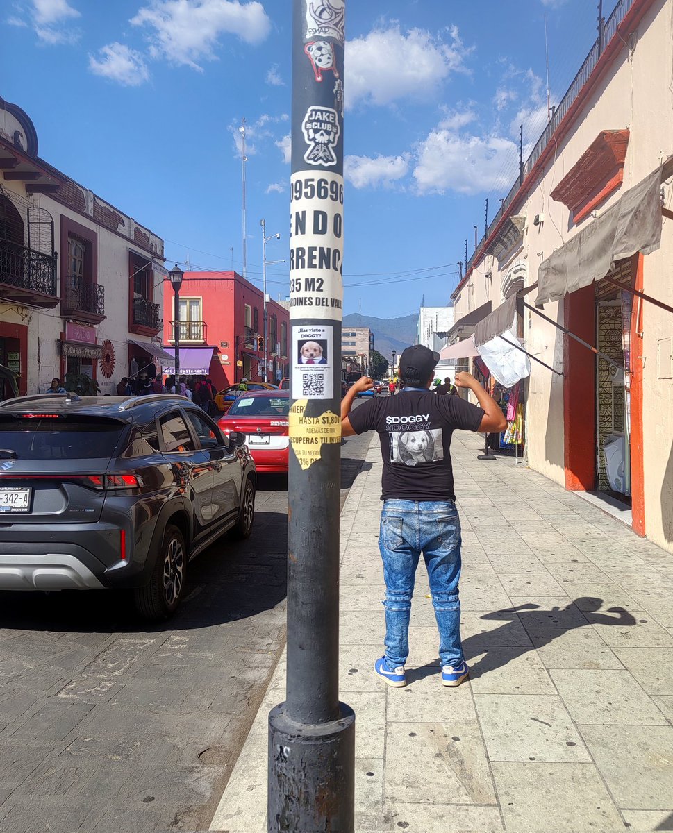 El Doggy tweet media