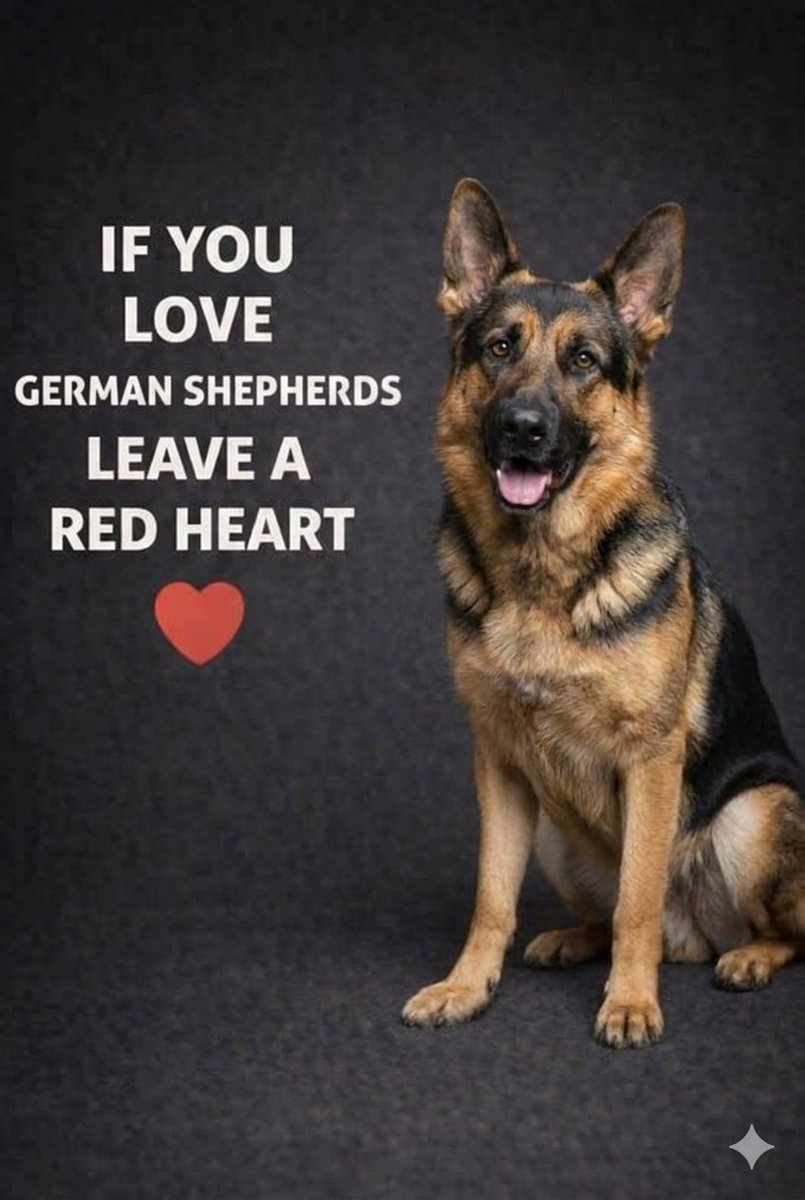 GERMAN SHEPHERD tweet media