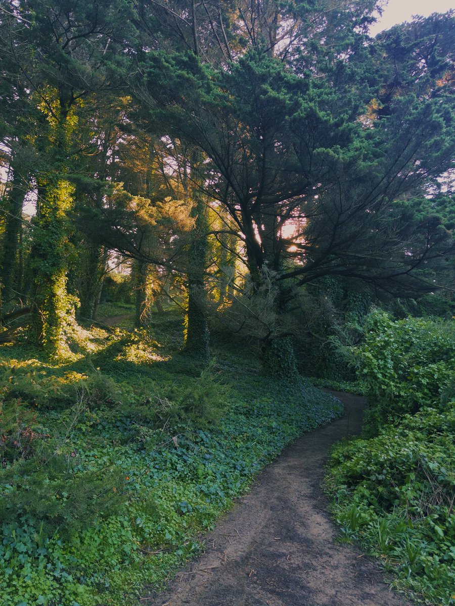 digitlartifacts's tweet photo. it’s a great day to wander aimlessly around san francisco https://t.co/s6xtvUveCO