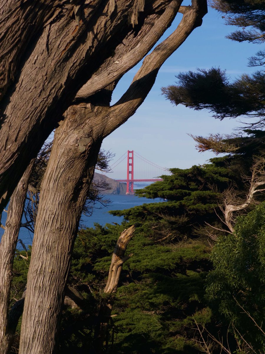 digitlartifacts's tweet photo. it’s a great day to wander aimlessly around san francisco https://t.co/s6xtvUveCO