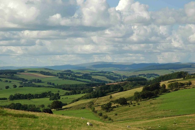 Sama Hoole tweet media