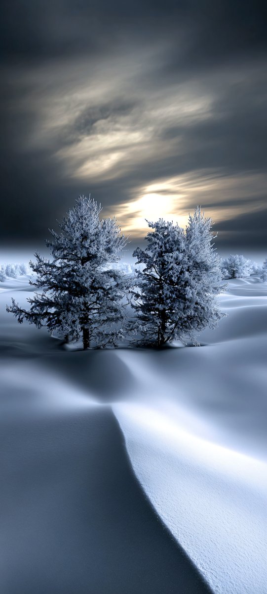 Halleyapps's tweet photo. Infinite depth of field capturing absolute zero environments! Procedural snow displacement and high acutance structures defining morning atmospheric clarity!

#WinterAesthetic #DepthMap #minimalism https://t.co/EbTFL1SXfv