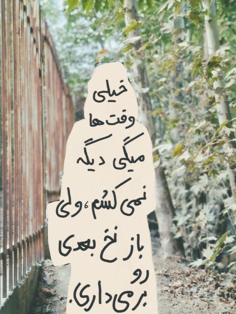 لـورا نایت tweet media