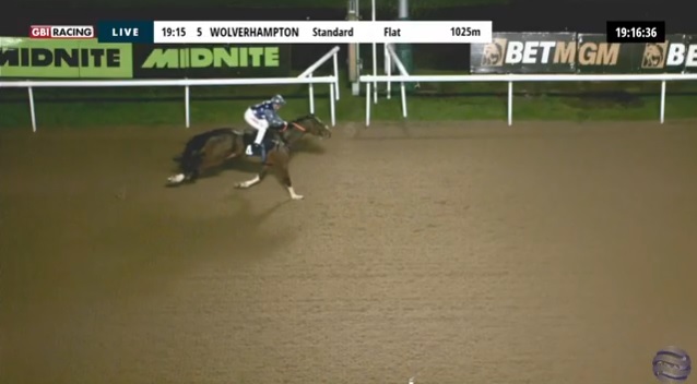 rebelsart's tweet image. Results of the 19:15 Handicap Stakes at Wolverhampton @WolvesRaces 🏇🇬🇧 
🥇Beaumadier (11-1)
J: Hollie Doyle @HollieDoyle1 
T: Mark Loughnane @dml_racing 
Riding double for Hollie‼️🏆🏆
#winners #double #horseracing #congratulations #Wolves #Longshot