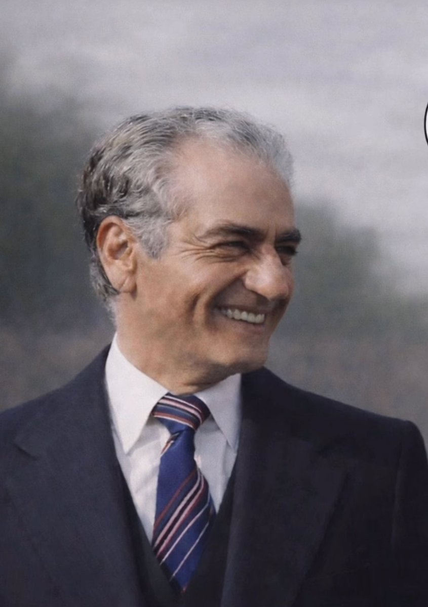 sunshine. tweet media