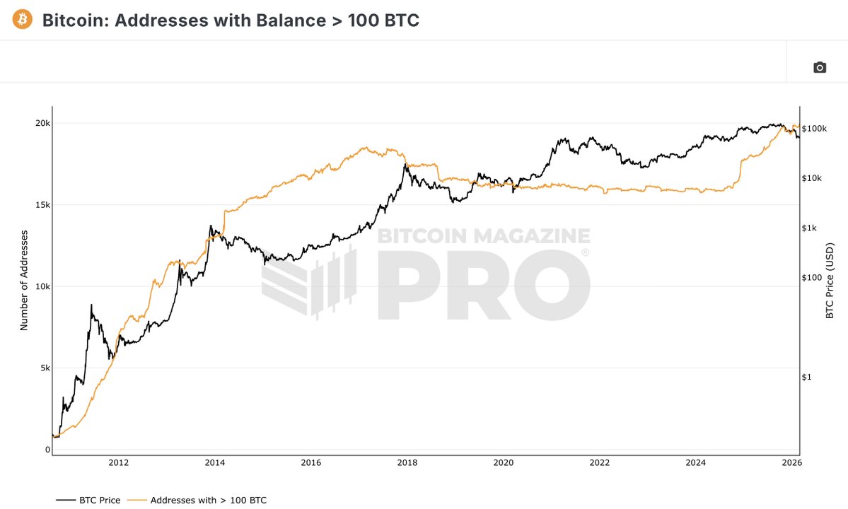 JUST IN: The number of addresses holding more than 100 Bitcoin hit a new all time high 🚀 

Whales are accumulating BTC 🐂