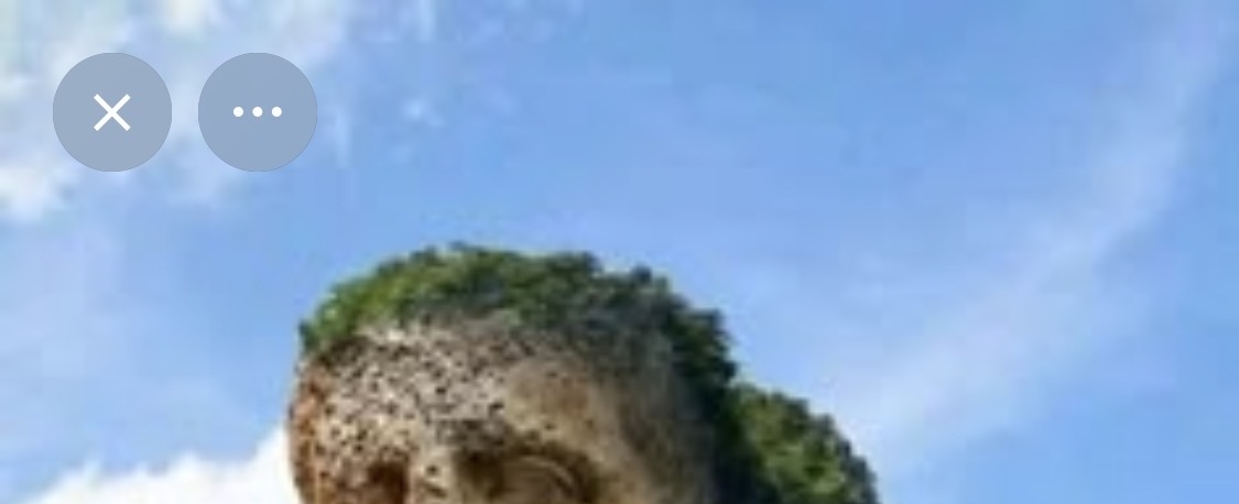 ฬαⓣ𝕖𝐄𝓝 tweet media