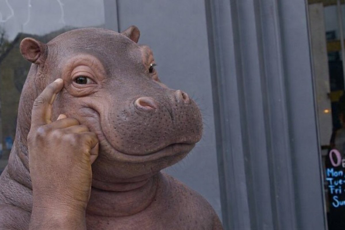 Let me give you something to think about:
did $Pnut really have more information or media coverage at the start?

$Jellybean 🫘🦛