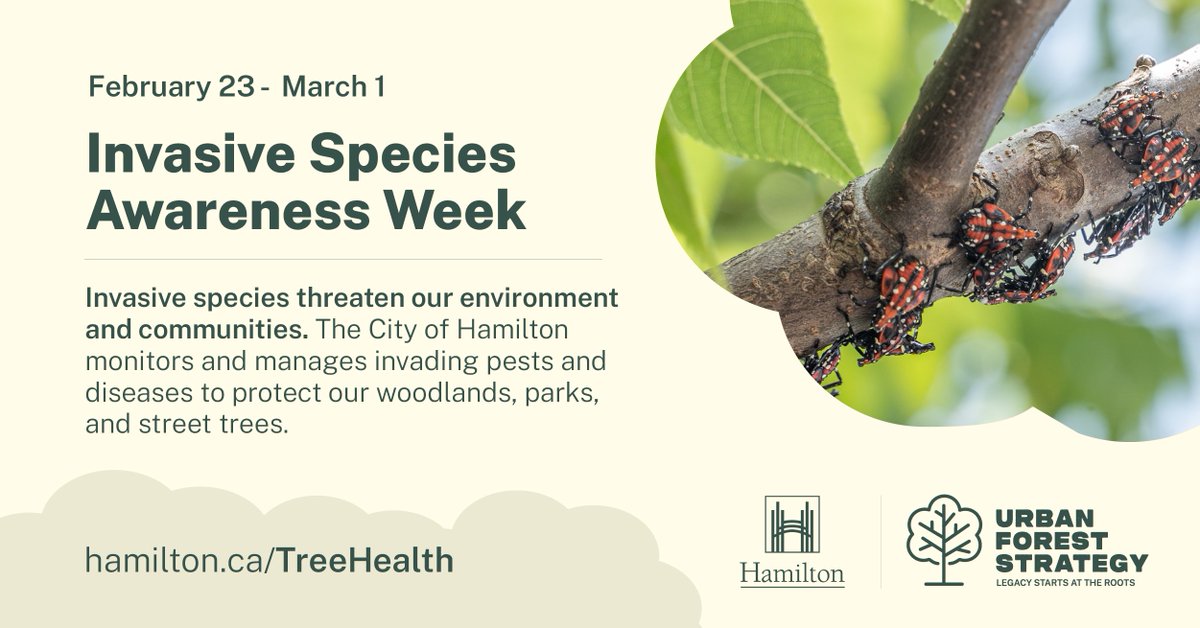cityofhamilton's tweet photo. We’re recognizing the City staff and volunteers who work year round to protect Hamilton’s biodiversity through the Urban Forest Strategy and the Biodiversity Action Plan.
Learn more:
https://t.co/5rtSI4PNL5
https://t.co/rCxWvDUsKO
#InvSpWk https://t.co/jzz7Wk4iKV