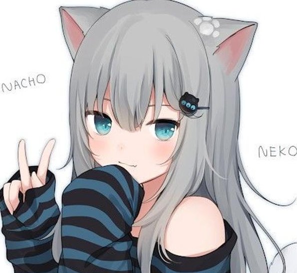 azeredo_fla's tweet photo. 料理で見る 🐨 https://t.co/733hxNrobZ