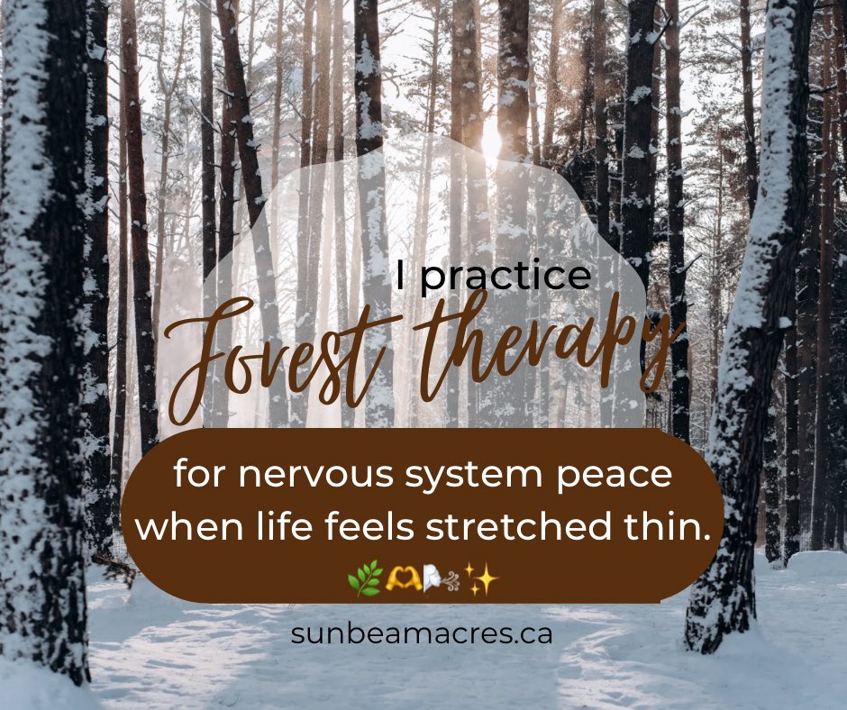 sunbeamacres's tweet photo. When you live with chronic pain, your body is always bracing.

Nature removes performance.
It reminds my body it is safe. 🌿 🌿🫶🌬️✨

If overwhelm has been loud lately, I shared a gentle practice for finding inner calm. 

#SunbeamAcres #ChronicPain #HealingInNature https://t.co/iID1CS2EW3