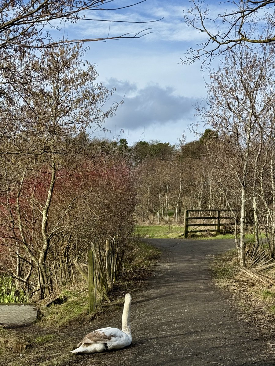 Elle Bee 📸💙🏴󠁧󠁢󠁳󠁣󠁴󠁿 tweet media