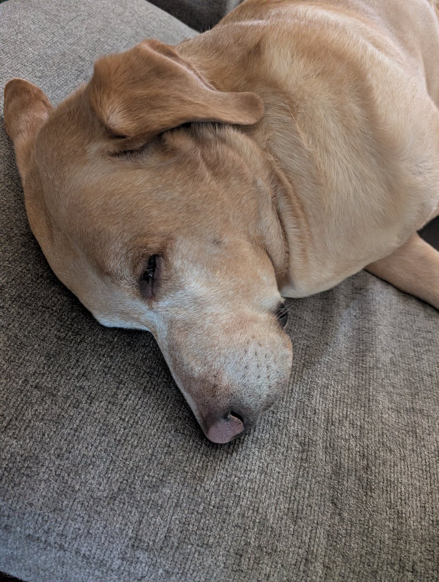 Brian Marette tweet media