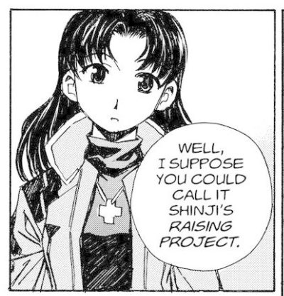 Misato breaking the 4th wall lol