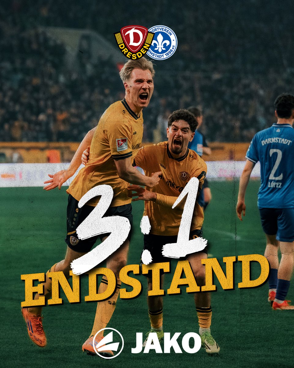 SG Dynamo Dresden tweet media
