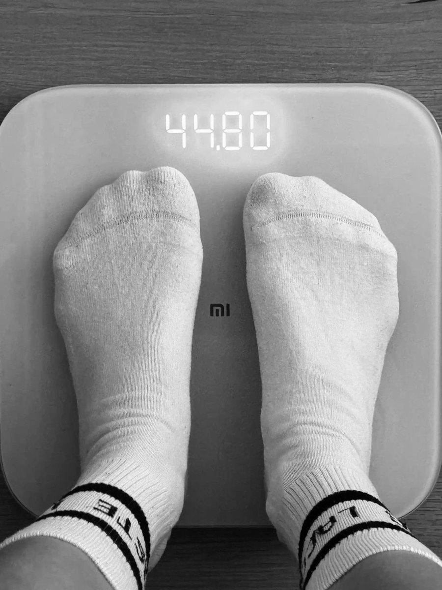𓋹.˚₊☾ lita tweet media