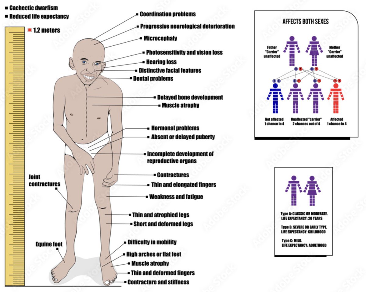 StudyXing Medicine tweet media