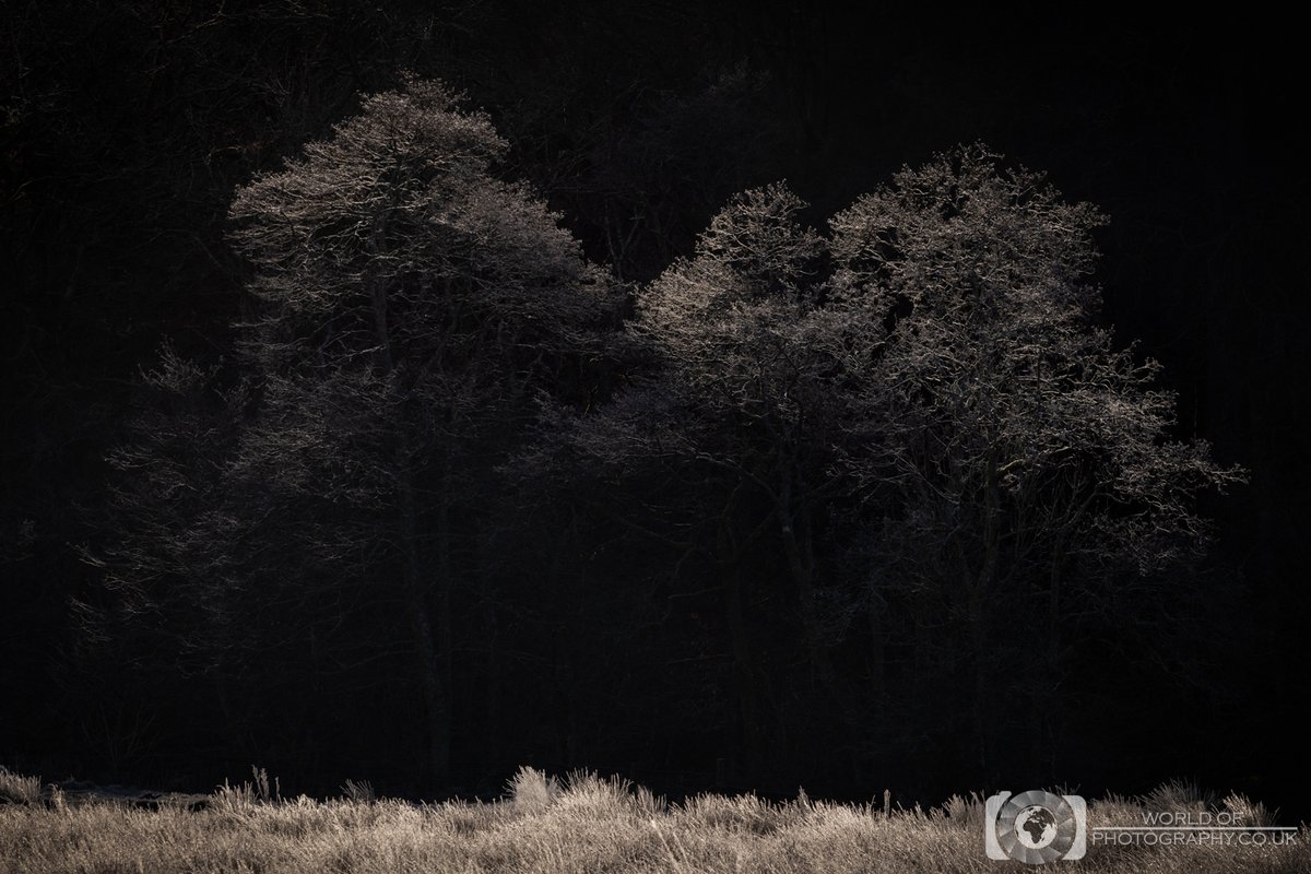 World Of Photography tweet media