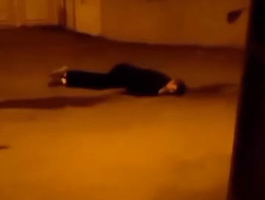 سارا 🌱 tweet media