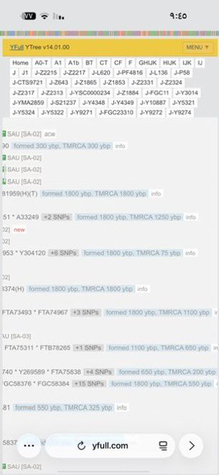 الف مبروك تحور الجديد خاص ببني ياس هذيل عمر الاتقاء 1250 وعمر الجد 1800 سنة

ويدل ذلك على ان ابناء سعد هذيل ف الاصل ٧ وظهر منهم ٤

خط بني ياس
خط الغريبي (جريب) بن سعد
خط قبايل تميم بن سعد
خط ذا موروث قرشي

والحمض سيخرج بقية ابناء سعد هذيل