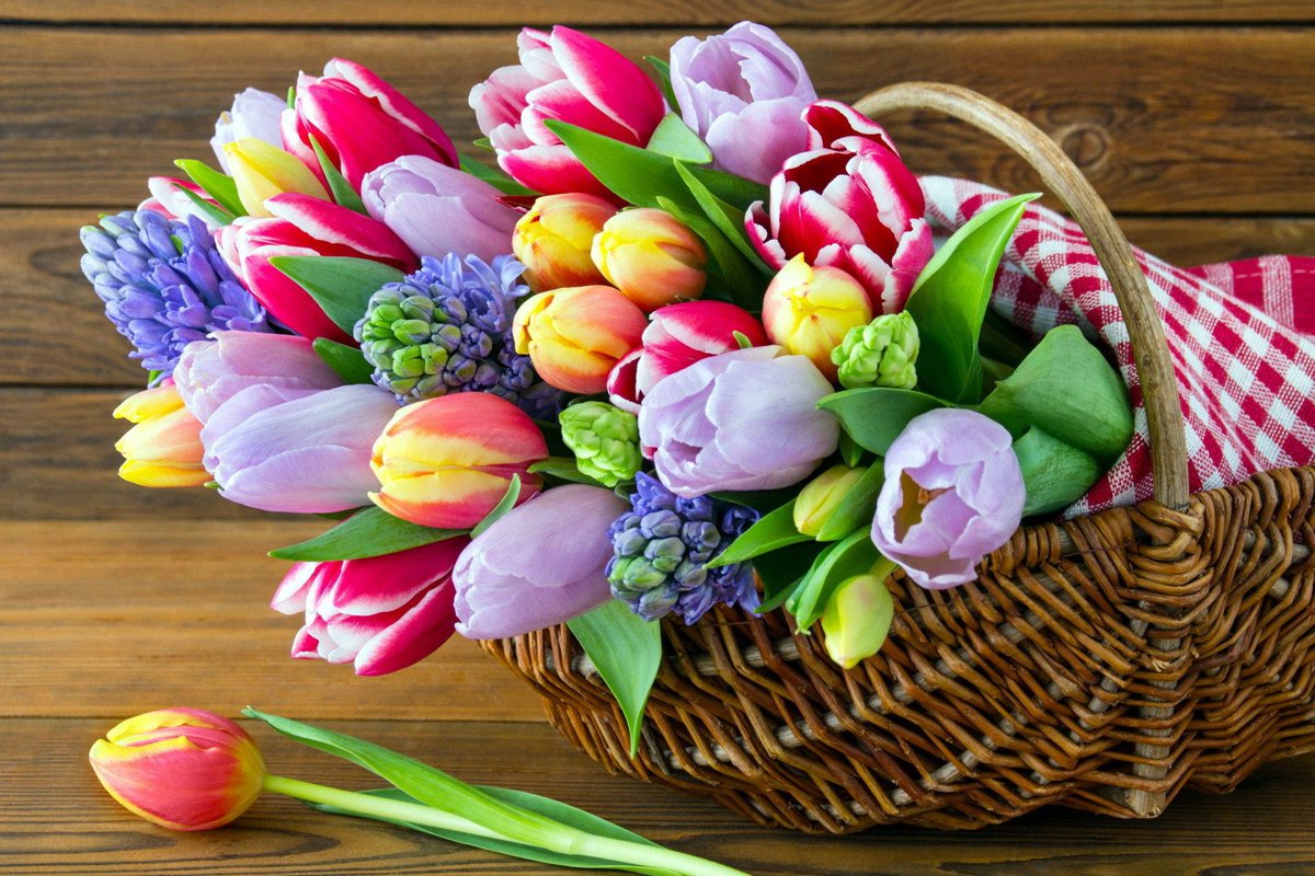 TroopUSMC's tweet photo. To @LittleTease_ and @Sapphira_Zhens. You two are there for me when I need you as I am the same for you when needed. Words can’t be said to express how much you two mean to me. Here’s a basket of spring flowers to arrange how you want! 

Thank you for everything,
Troop https://t.co/SzZTgP1Oln