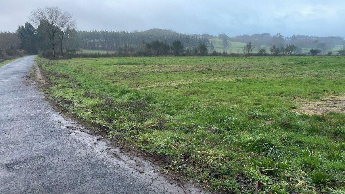 Denuncian vertidos de💩lodos de depuradoras sin tratar en Agolada.
Agroamb niega descargar nada en la zona🤣🤣🤣, a pesar de que según la denuncia el 🚚camión estaba rotulado con su nombre.
eldiario.es/galicia/vecino…