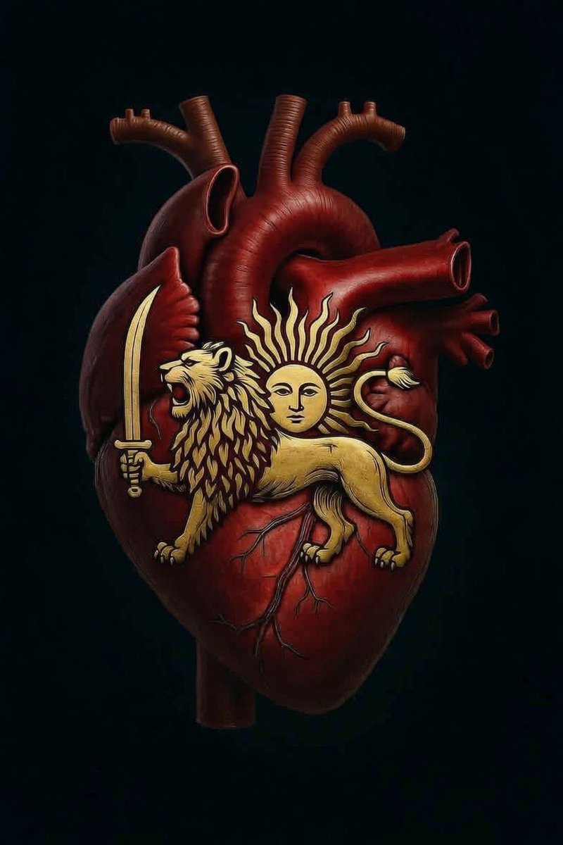 Arman 🇮🇷 tweet media