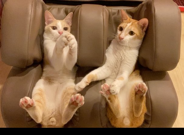 Woohoo!! We came for the movie🥳😁🤭