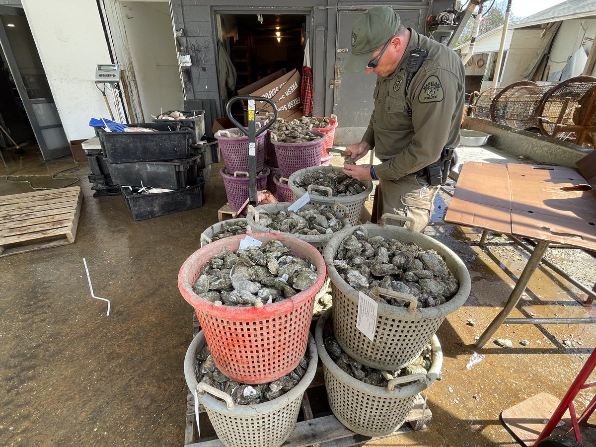 Maryland DNR tweet media