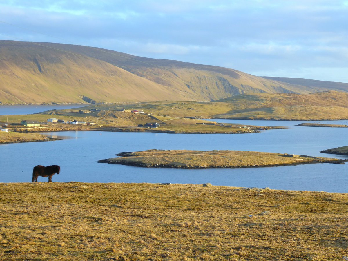CatherineMMunro's tweet image. At 60 degrees north Spring can take it's time reaching #Shetland.  We will have to wait for the hills to fill with flowers and the evening light to return. For now I will enjoy the stark beauty of our winter landscapes and welcome the new warmth in the sun.