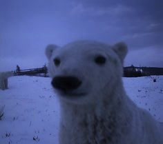 ✞ 🗝️ (@hakaelll) on Twitter photo 