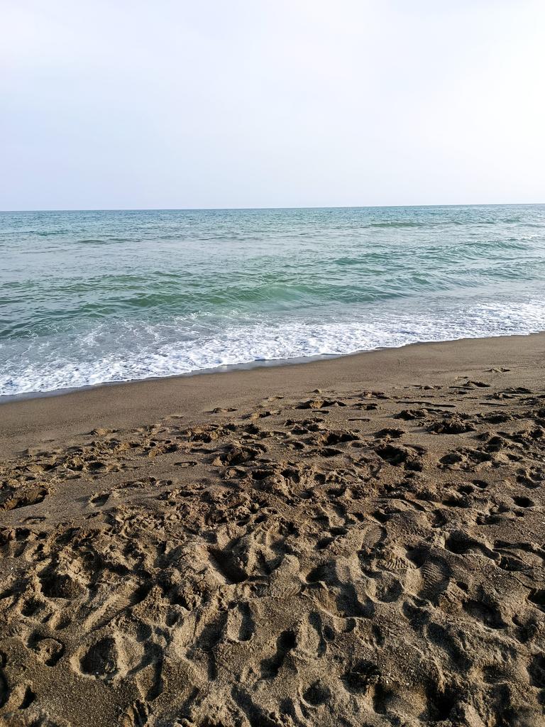 Diosa Vero👑 tweet media