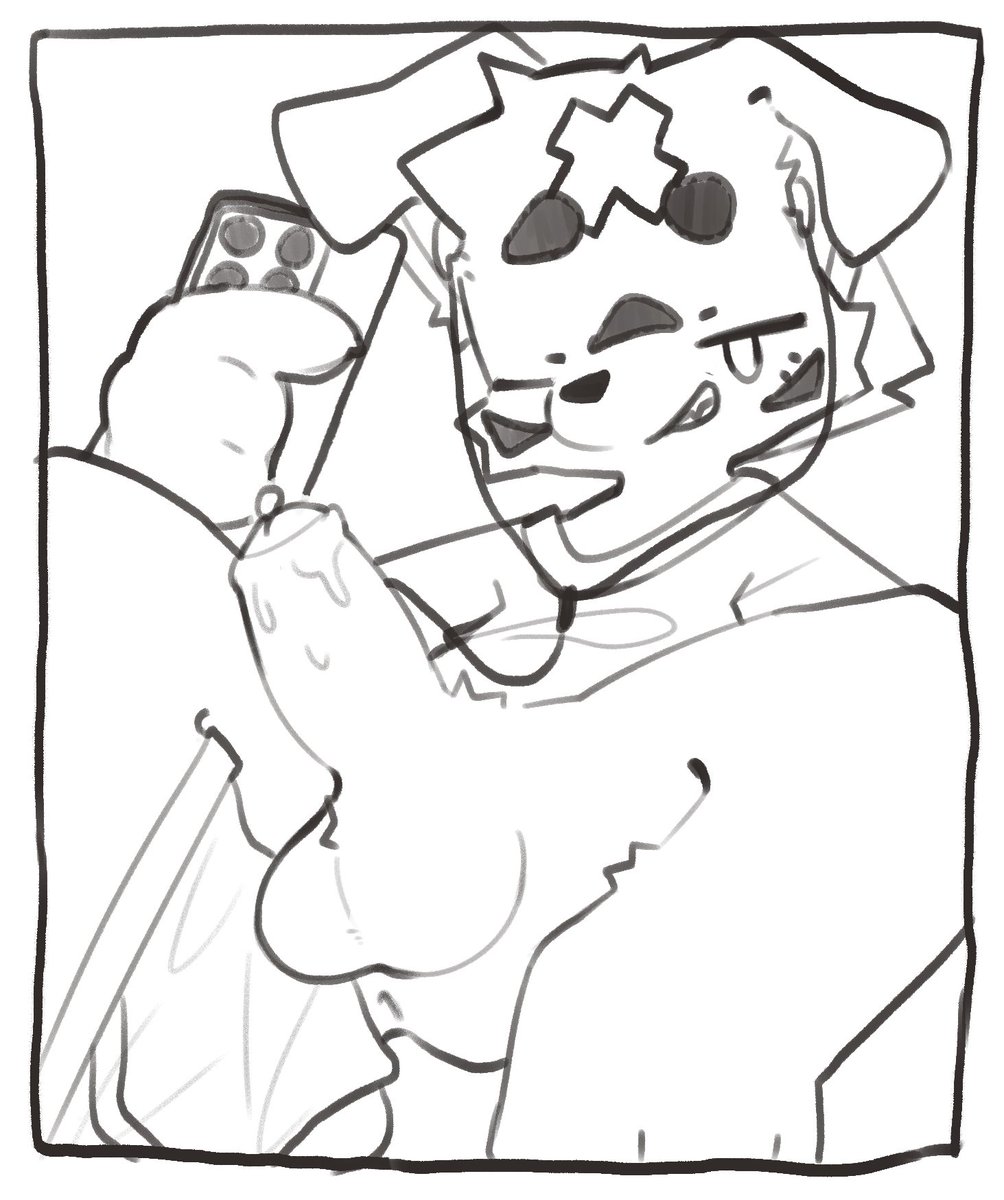 小犬🐾 tweet media