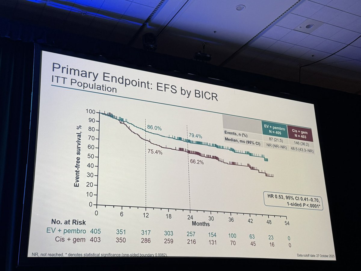 Renee Maria Saliby tweet media