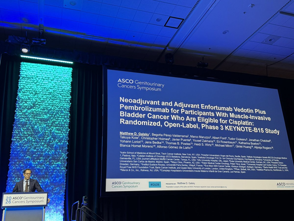 Renee Maria Saliby tweet media