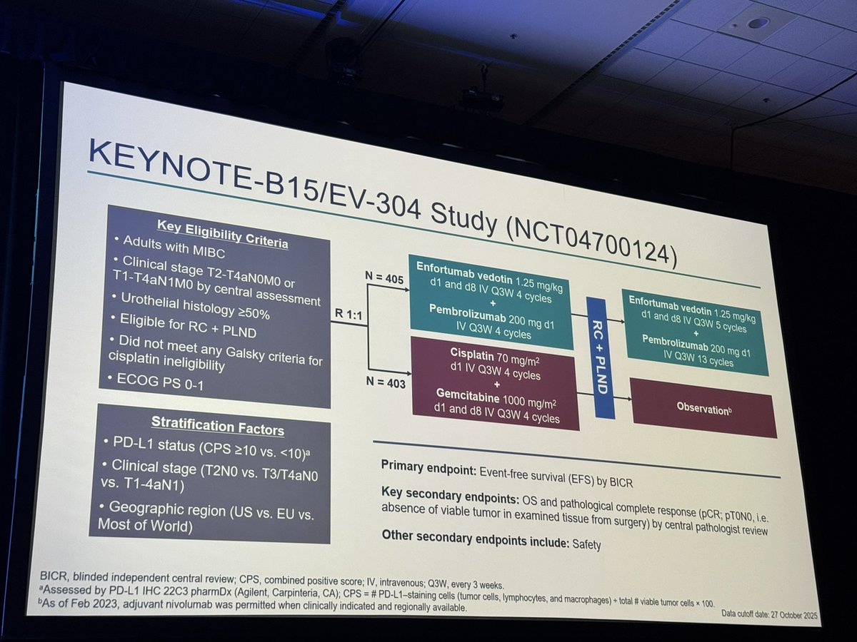 Renee Maria Saliby tweet media