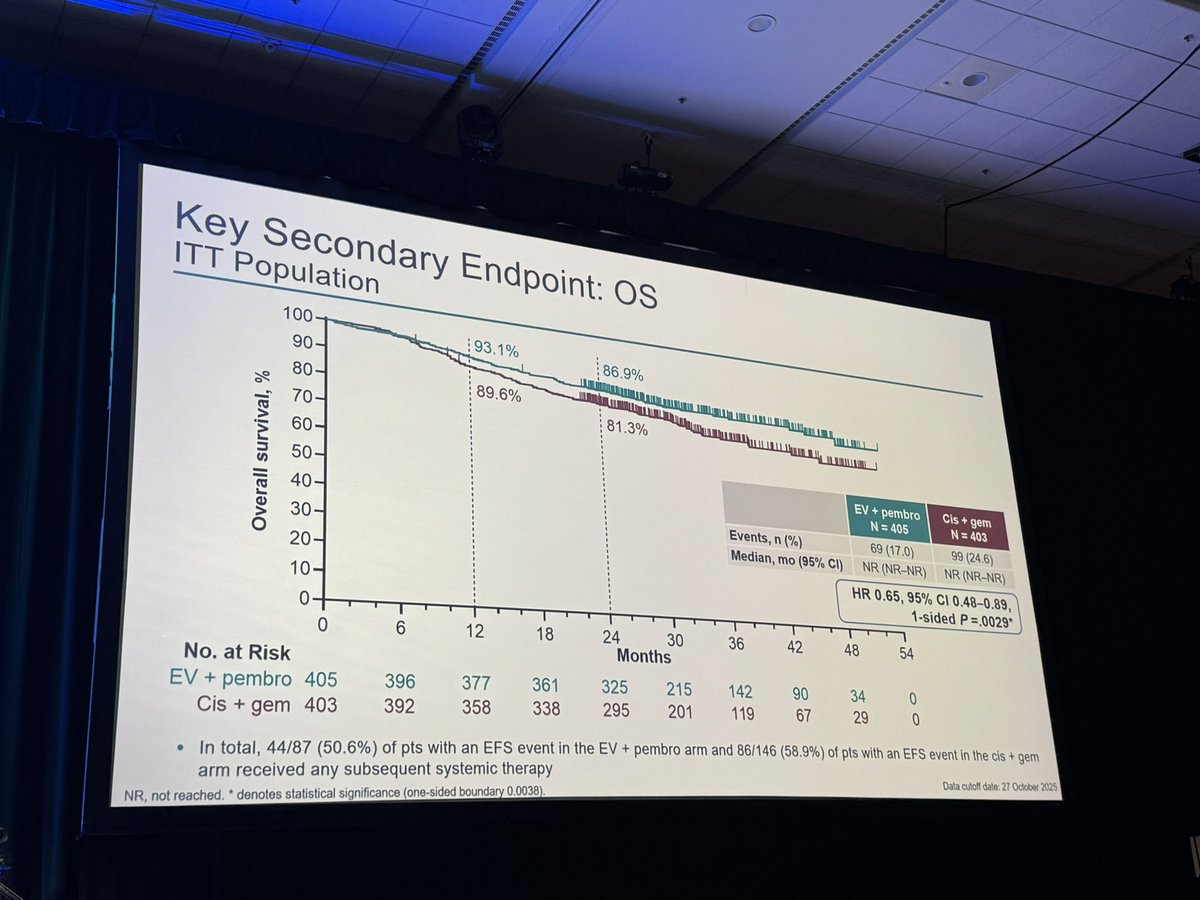 Renee Maria Saliby tweet media