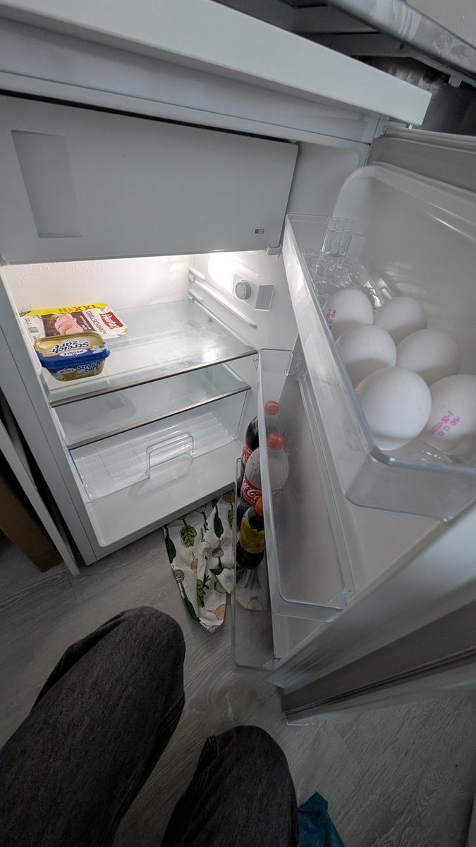 Yotohi 🦈 tweet media