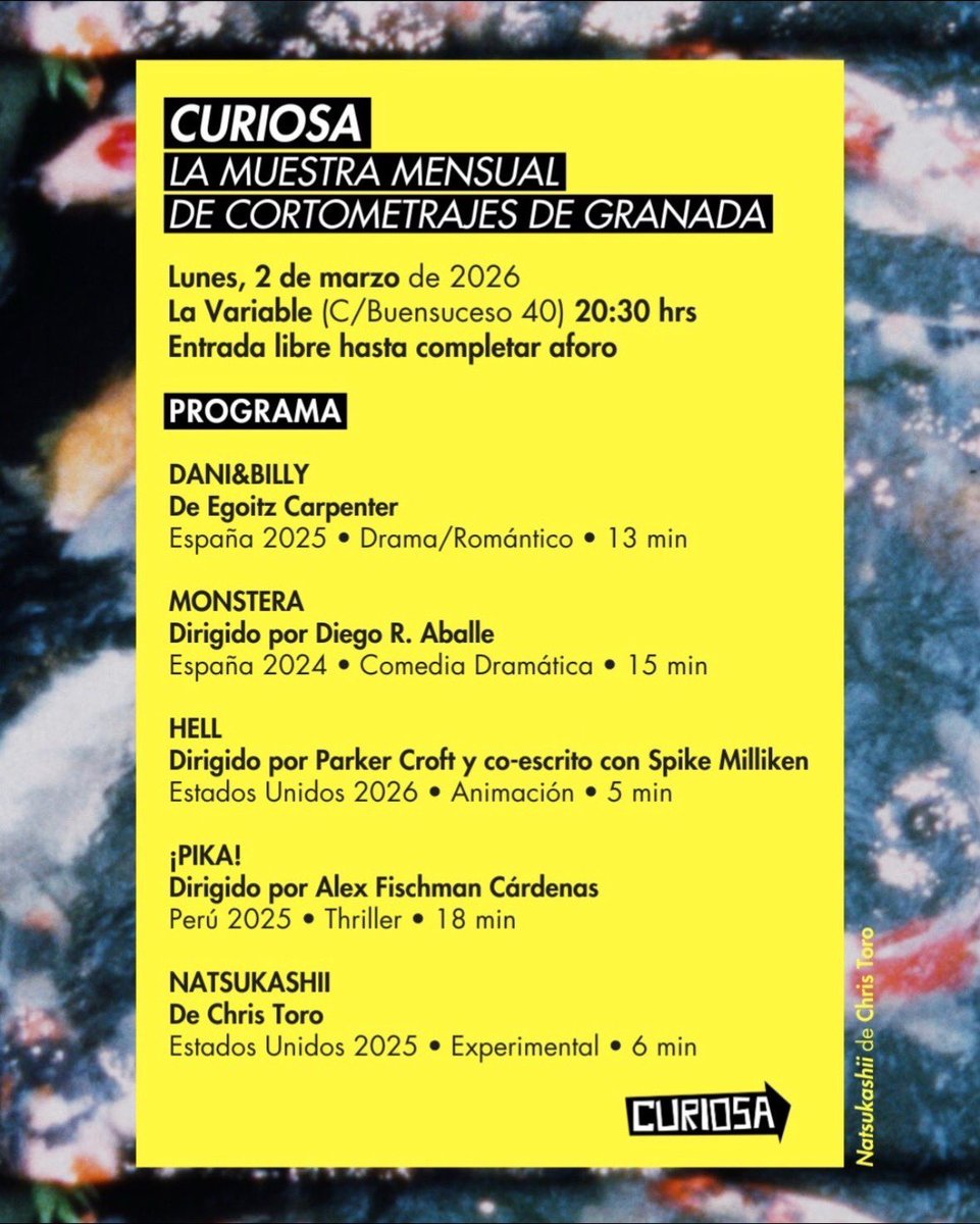 Chris Toro tweet media