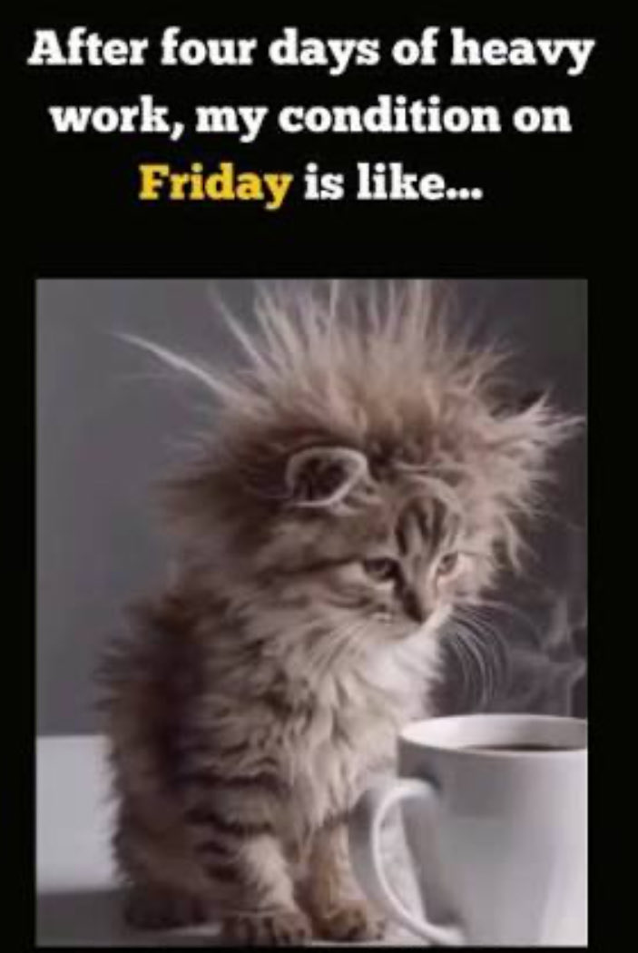 Michelle tweet media