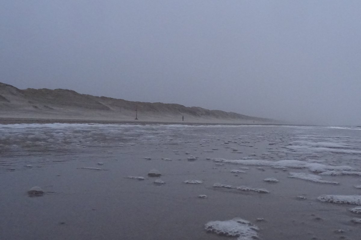 dezeekust's tweet image. Rainy, windy day... 

#dezeekust #regen