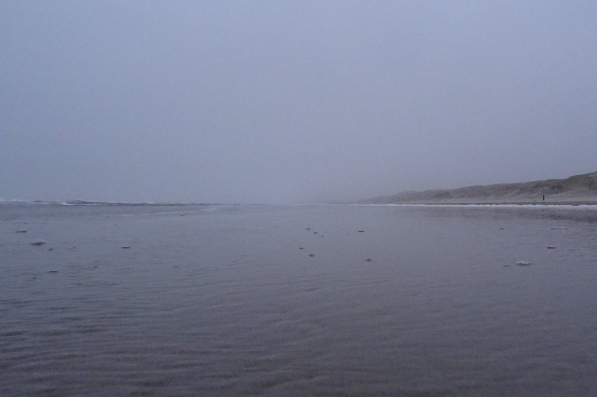 dezeekust's tweet image. Rainy, windy day... 

#dezeekust #regen