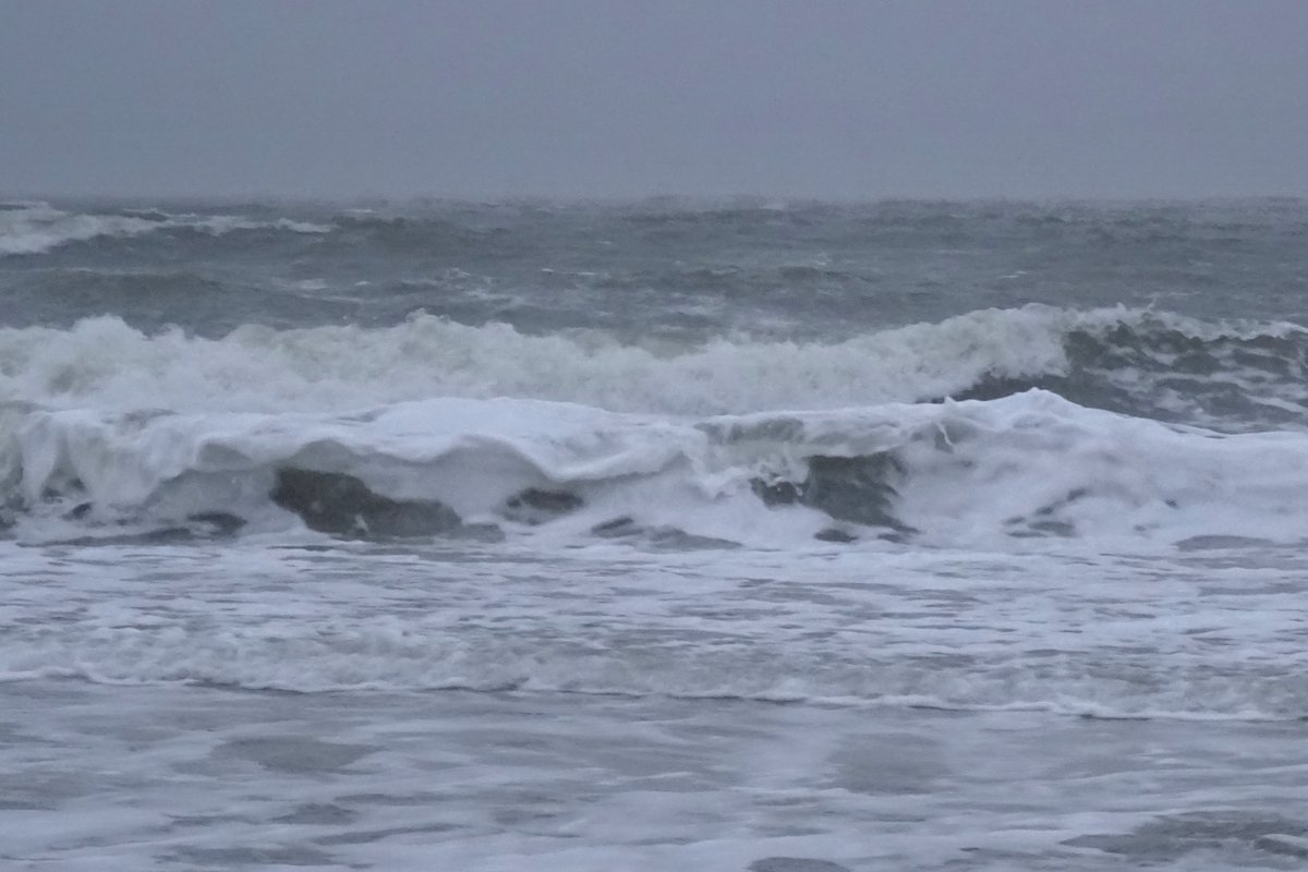 dezeekust's tweet image. Rainy, windy day... 

#dezeekust #regen
