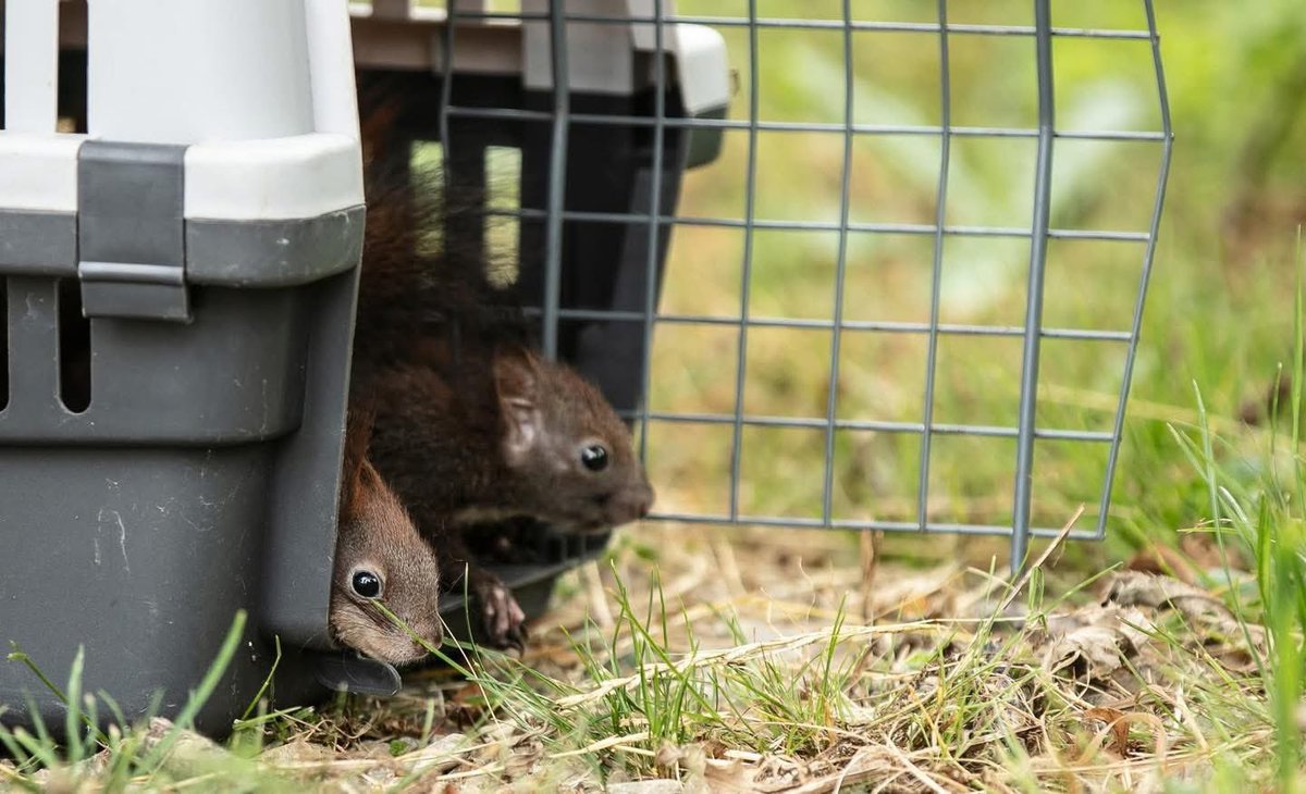 Fundacja ADA tweet media