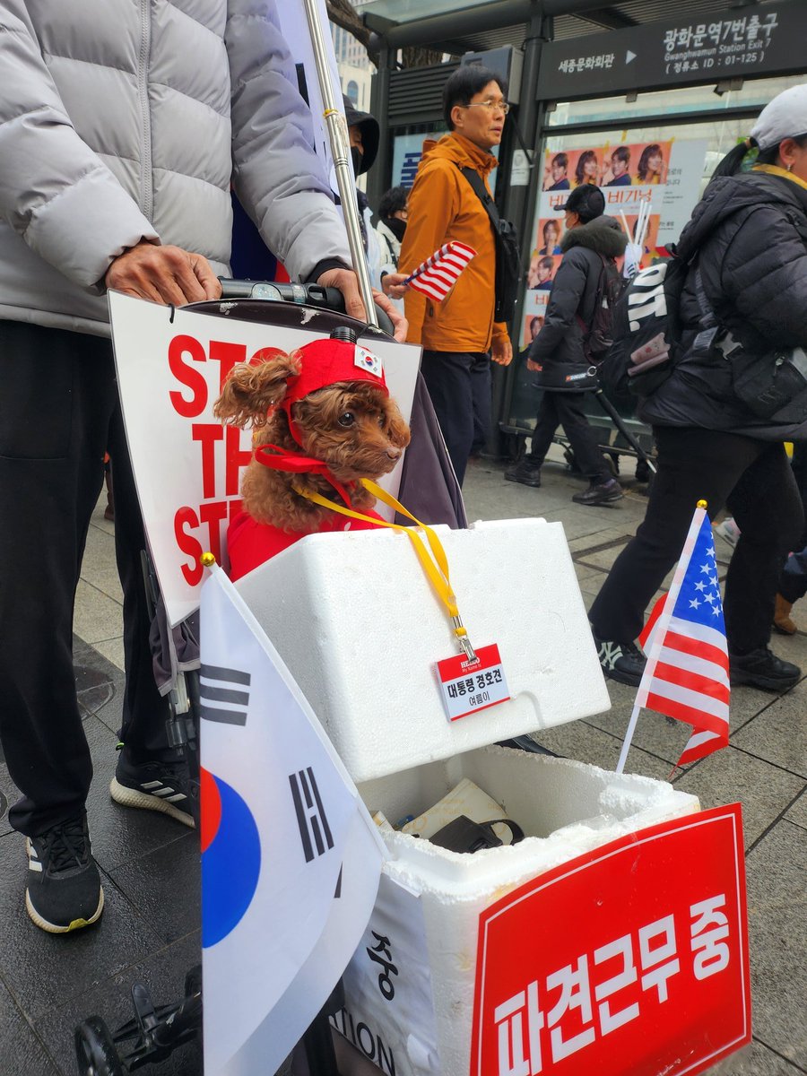 hum75920081's tweet photo. @ShineShadowNews Fake media reports that Korea is anti-American, but most Koreans are eternally grateful to the United States. https://t.co/efFUyF6BwD