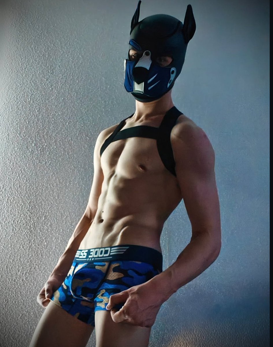 Pup Dutch 🔜 🇬🇧Animalz tweet media